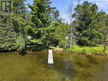 8966 HIGHWAY 35 | Minden Hills Ontario | Slide Image Forty-three