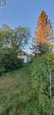 638 CHENIER ROAD | Mattawan Ontario | Slide Image Six