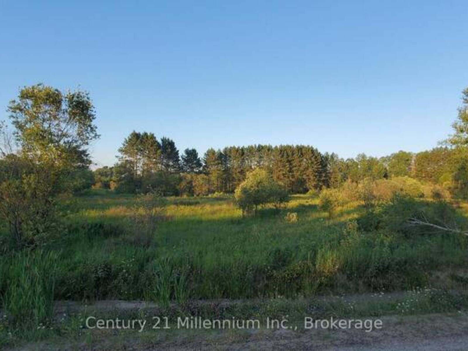 638 CHENIER ROAD, Mattawan, Ontario P0H 1V0