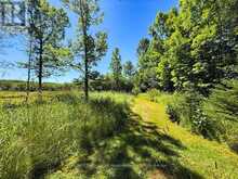4031 HIGHWAY 520 HIGHWAY | Magnetawan Ontario | Slide Image Thirty-five