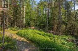 1630 MIDLOTHIAN ROAD | Magnetawan Ontario | Slide Image Twelve