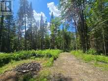 1630 MIDLOTHIAN ROAD | Magnetawan Ontario | Slide Image Four