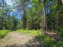 1630 MIDLOTHIAN ROAD | Magnetawan Ontario | Slide Image Five