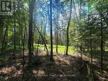 1630 MIDLOTHIAN ROAD | Magnetawan Ontario | Slide Image Six