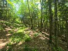 1630 MIDLOTHIAN ROAD | Magnetawan Ontario | Slide Image Eight