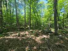 1630 MIDLOTHIAN ROAD | Magnetawan Ontario | Slide Image Nine