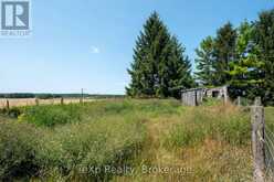 742649 SIDEROAD 4B | Chatsworth Ontario | Slide Image Twenty-two
