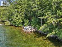 2183 TRAPPER'S TRAIL | Haliburton Ontario | Slide Image Two