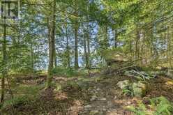 2183 TRAPPER'S TRAIL | Haliburton Ontario | Slide Image Thirty-one