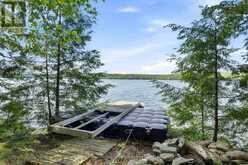 2183 TRAPPER'S TRAIL | Haliburton Ontario | Slide Image Thirty-six