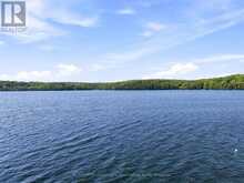 2183 TRAPPER'S TRAIL | Haliburton Ontario | Slide Image Thirty-seven