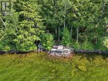 2183 TRAPPER'S TRAIL | Haliburton Ontario | Slide Image Forty-three