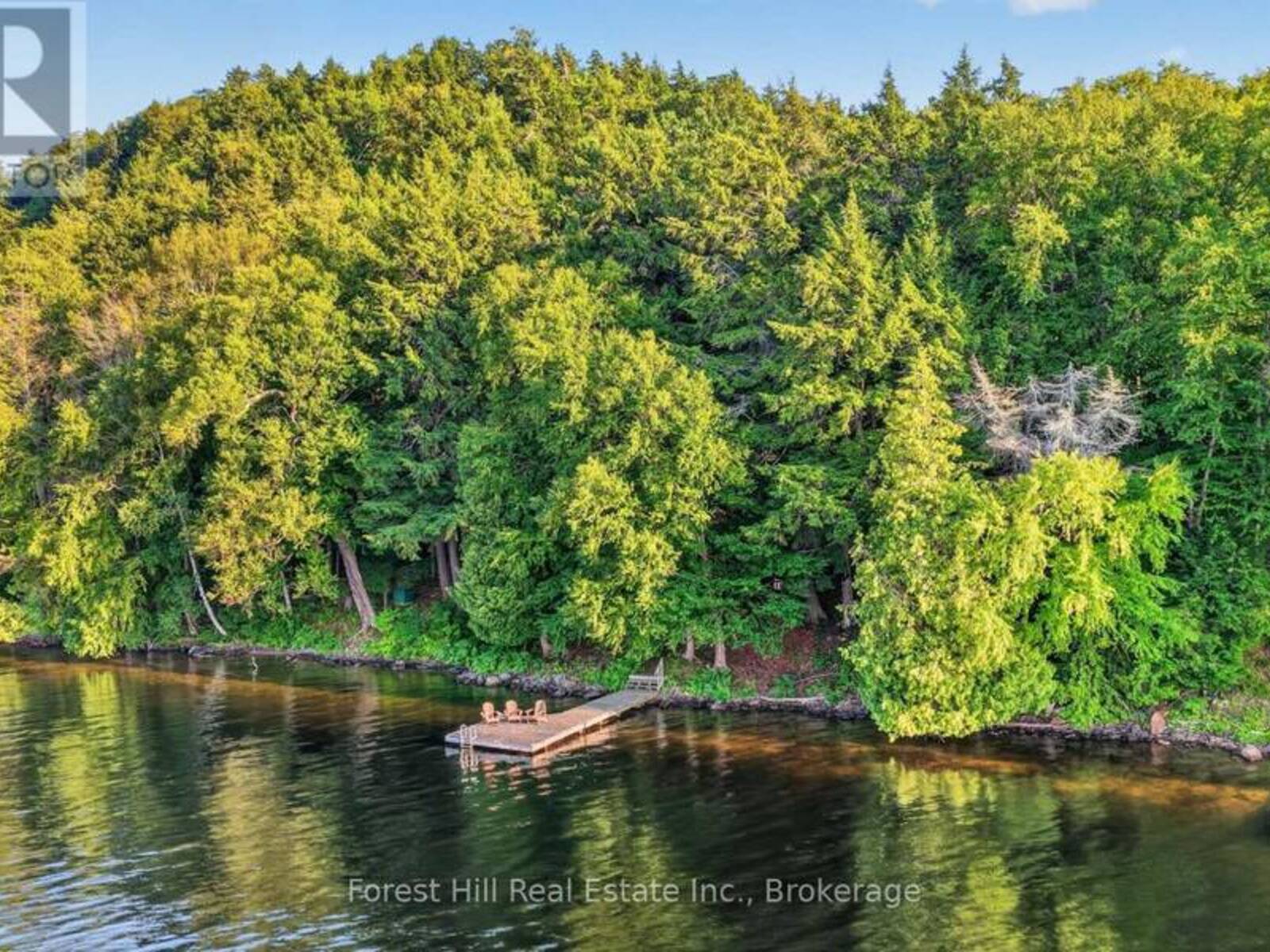 1110 JOSEPH TAPLEY ROAD, Dwight, Ontario P0A 1H0