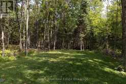 1025 & 1027 BIG ISLAND ROAD | Bracebridge Ontario | Slide Image Forty-two