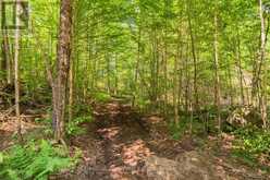 PART 8,9,10 POOL LAKE CON 2 PT LOT 19 RP 42R18158 | Sundridge Ontario | Slide Image Eleven