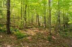 PART 8,9,10 POOL LAKE CON 2 PT LOT 19 RP 42R18158 | Sundridge Ontario | Slide Image Twelve