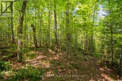 PART 8,9,10 POOL LAKE CON 2 PT LOT 19 RP 42R18158 | Sundridge Ontario | Slide Image Thirteen