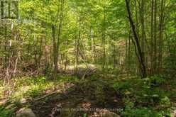 PART 8,9,10 POOL LAKE CON 2 PT LOT 19 RP 42R18158 | Sundridge Ontario | Slide Image Fifteen