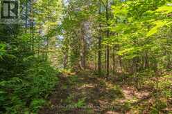 PART 8,9,10 POOL LAKE CON 2 PT LOT 19 RP 42R18158 | Sundridge Ontario | Slide Image Sixteen