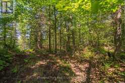 PART 8,9,10 POOL LAKE CON 2 PT LOT 19 RP 42R18158 | Sundridge Ontario | Slide Image Seventeen