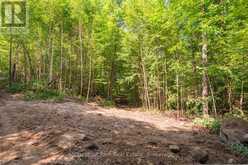 PART 8,9,10 POOL LAKE CON 2 PT LOT 19 RP 42R18158 | Sundridge Ontario | Slide Image Twenty-three