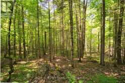 PART 8,9,10 POOL LAKE CON 2 PT LOT 19 RP 42R18158 | Sundridge Ontario | Slide Image Five