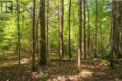 PART 8,9,10 POOL LAKE CON 2 PT LOT 19 RP 42R18158 | Sundridge Ontario | Slide Image Six