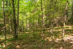 PART 8,9,10 POOL LAKE CON 2 PT LOT 19 RP 42R18158 | Sundridge Ontario | Slide Image Seven