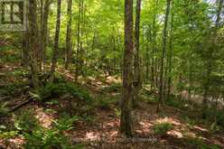PART 8,9,10 POOL LAKE CON 2 PT LOT 19 RP 42R18158 | Sundridge Ontario | Slide Image Eight