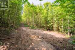 PART 8,9,10 POOL LAKE CON 2 PT LOT 19 RP 42R18158 | Sundridge Ontario | Slide Image Nine
