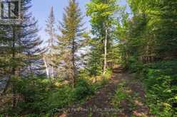 PARTS 5,6,7 POOL LAKE CON 2 PT LOT 19 RP 42R181158- | Sundridge Ontario | Slide Image Ten