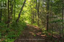 PARTS 5,6,7 POOL LAKE CON 2 PT LOT 19 RP 42R181158- | Sundridge Ontario | Slide Image Eleven