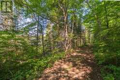 PARTS 5,6,7 POOL LAKE CON 2 PT LOT 19 RP 42R181158- | Sundridge Ontario | Slide Image Fifteen
