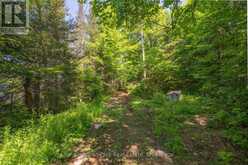 PARTS 5,6,7 POOL LAKE CON 2 PT LOT 19 RP 42R181158- | Sundridge Ontario | Slide Image Sixteen