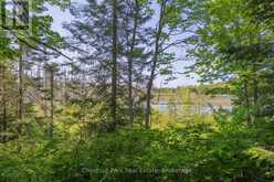 PARTS 5,6,7 POOL LAKE CON 2 PT LOT 19 RP 42R181158- | Sundridge Ontario | Slide Image Seventeen