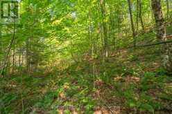 PARTS 5,6,7 POOL LAKE CON 2 PT LOT 19 RP 42R181158- | Sundridge Ontario | Slide Image Nineteen