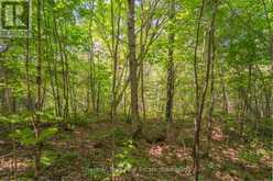 PARTS 5,6,7 POOL LAKE CON 2 PT LOT 19 RP 42R181158- | Sundridge Ontario | Slide Image Twenty