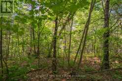 PARTS 5,6,7 POOL LAKE CON 2 PT LOT 19 RP 42R181158- | Sundridge Ontario | Slide Image Twenty-one