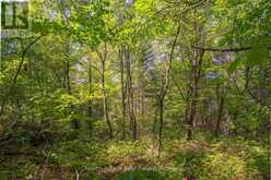 PARTS 5,6,7 POOL LAKE CON 2 PT LOT 19 RP 42R181158- | Sundridge Ontario | Slide Image Twenty-two