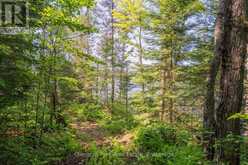 PARTS 5,6,7 POOL LAKE CON 2 PT LOT 19 RP 42R181158- | Sundridge Ontario | Slide Image Twenty-three