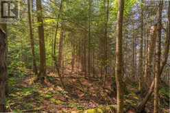 PARTS 5,6,7 POOL LAKE CON 2 PT LOT 19 RP 42R181158- | Sundridge Ontario | Slide Image Twenty-four