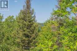 PARTS 5,6,7 POOL LAKE CON 2 PT LOT 19 RP 42R181158- | Sundridge Ontario | Slide Image Twenty-five