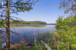 PARTS 5,6,7 POOL LAKE CON 2 PT LOT 19 RP 42R181158- | Sundridge Ontario | Slide Image Three