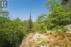 PARTS 5,6,7 POOL LAKE CON 2 PT LOT 19 RP 42R181158- | Sundridge Ontario | Slide Image Five