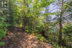 PARTS 5,6,7 POOL LAKE CON 2 PT LOT 19 RP 42R181158- | Sundridge Ontario | Slide Image Six