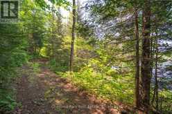 PARTS 5,6,7 POOL LAKE CON 2 PT LOT 19 RP 42R181158- | Sundridge Ontario | Slide Image Seven