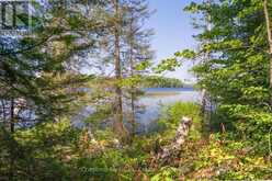PARTS 5,6,7 POOL LAKE CON 2 PT LOT 19 RP 42R181158- | Sundridge Ontario | Slide Image Eight