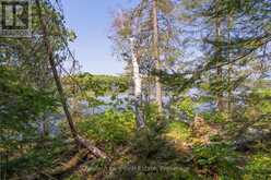 PARTS 5,6,7 POOL LAKE CON 2 PT LOT 19 RP 42R181158- | Sundridge Ontario | Slide Image Nine