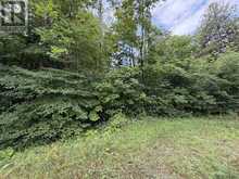 23 FRONT STREET | Georgian Bluffs Ontario | Slide Image Two