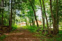511 BRETHOUR ROAD | Bancroft Ontario | Slide Image Forty
